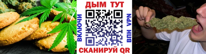 Купить закладки  Ельня  Cannafood конопля 