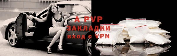 марки nbome Богданович