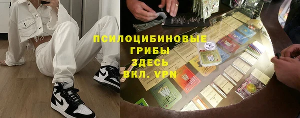спайс Бородино