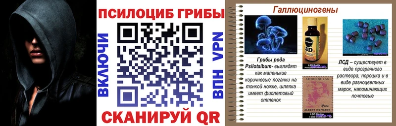 Купить закладки  Ельня  Псилоцибиновые грибы Cubensis 